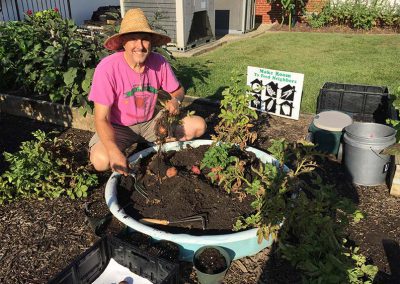 Garden Giveaway-Potatoes at Redeemer Lutheran Church